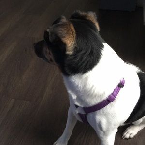 Meet your Posher, Cassandra